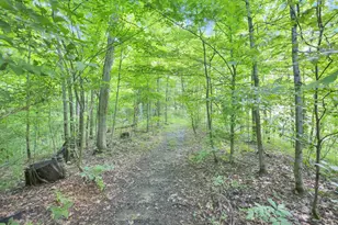 13864 Keirns Rd, Millfield, OH 45761 - Photo 61