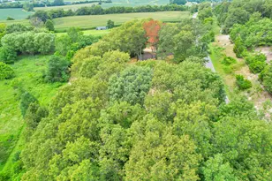 1438 Ragged Ridge Rd, Frankfort, OH 45628 - Photo 51