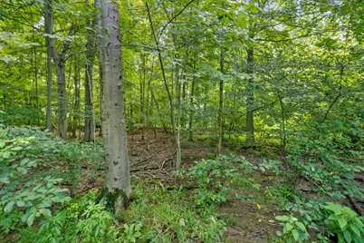 [Address not provided], Powell, OH 43065 - Photo 47