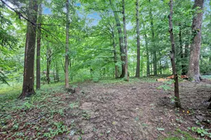 3557 E State Route 60 NE, McConnelsville, OH 43756 - Photo 81