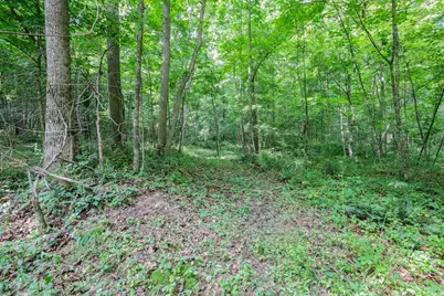 0 Maysville-Williams Road #LOT 4, Logan, OH 43138 - Photo 5