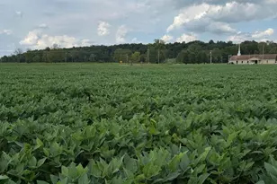 0 Mt Zwingli Road SE, Bremen, OH 43107 - Photo 1