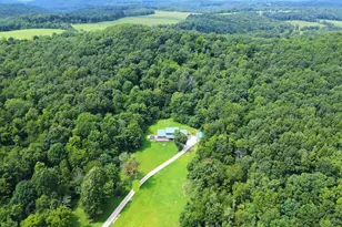 2019 State Route 772, Bainbridge, OH 45612 - Photo 53