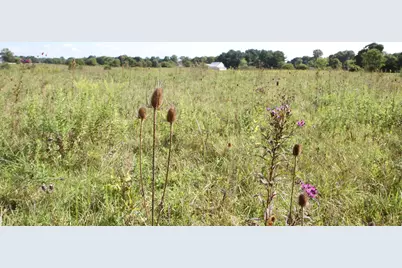 4350 Us-42 S, Delaware, OH 43015 - Photo 3