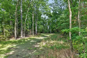 19508 Co Rd 190, Kenton, OH 43326 - Photo 91