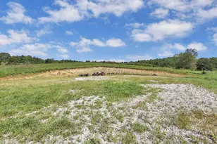 16451 Cox Rd, Logan, OH 43138 - Photo 35
