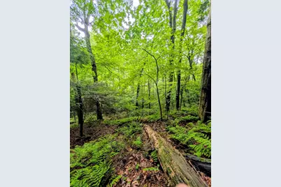 24639 Ohio 180, Rockbridge, OH 43149 - Photo 13