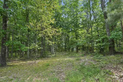 1113 Wickline Road, Beaver, OH 45613 - Photo 45