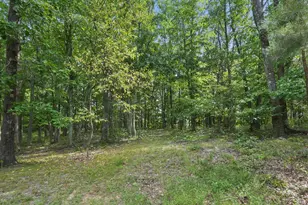 1113 Wickline Rd, Beaver, OH 45613 - Photo 45