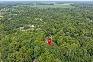 7326 Ohio 19, Mount Gilead, OH 43338 - Photo 65