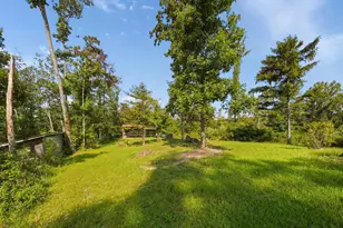24657 Pole Ridge Rd, South Bloomingville, OH 43152 - Photo 29