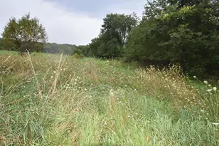2075 Co Rd 24, Marengo, OH 43334 - Photo 3