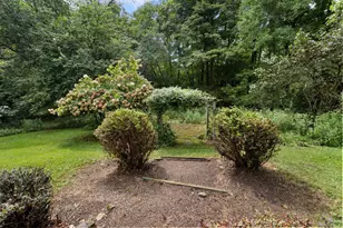 105 Mill Rd, Bellville, OH 44813 - Photo 5
