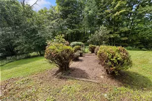 105 Mill Rd, Bellville, OH 44813 - Photo 53