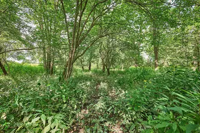 0 Ohio 95, Bellville, OH 44813 - Photo 13