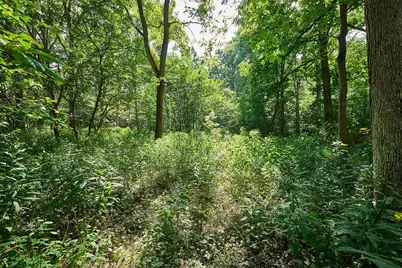 0 Ohio 95, Bellville, OH 44813 - Photo 19