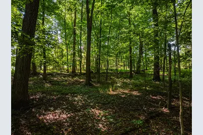 0 Sycamore Road, Centerburg, OH 43011 - Photo 49