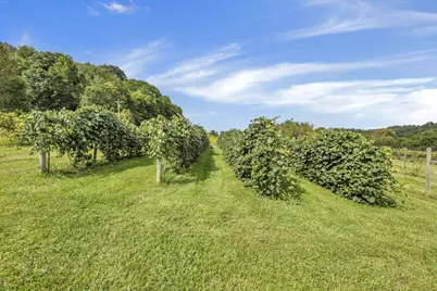 9065 Clay Pike Road, Chandlersville, OH 43727 - Photo 5