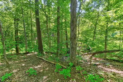 4445 Central College Road, Westerville, OH 43081 - Photo 63