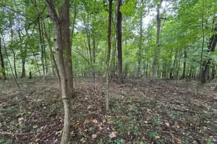 5198 McKinney Crossing Rd NE, Newark, OH 43055 - Photo 43