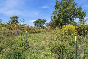 5517 Twp Rd 117, Mount Gilead, OH 43338 - Photo 65