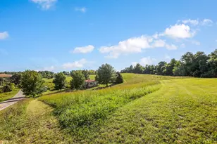 4305 S State Route 555, Chesterhill, OH 43728 - Photo 33