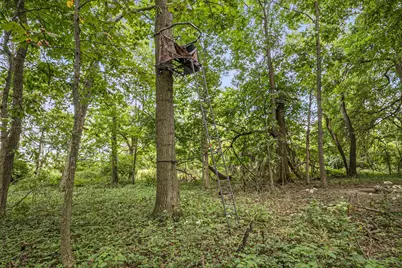 0 Likens Road, Marion, OH 43302 - Photo 49
