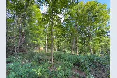 6891 County Road 109, Mount Gilead, OH 43338 - Photo 29