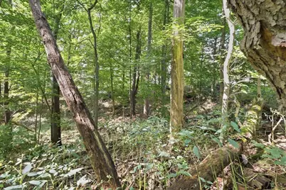 0 Hilltop Drive, Fredericktown, OH 43019 - Photo 13