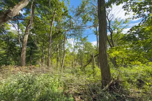 557 Hillsdale Dr, Coshocton, OH 43812 - Photo 25