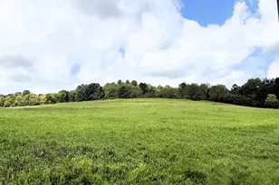 11555 State Route 93 N, Logan, OH 43138 - Photo 11