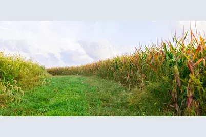 19477 County Road 18, Warsaw, OH 43844 - Photo 103