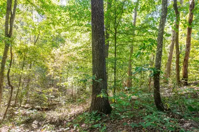 0 County Rd 269, Glouster, OH 45732 - Photo 83