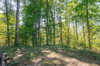 0 County Rd 269, Glouster, OH 45732 - Photo 73