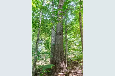 0 County Rd 269, Glouster, OH 45732 - Photo 71