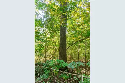 0 County Rd 269, Glouster, OH 45732 - Photo 91
