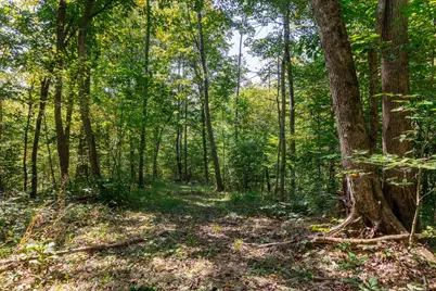 0 County Rd 269, Glouster, OH 45732 - Photo 89