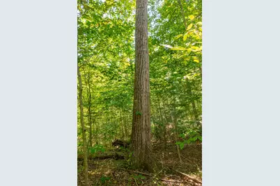 0 County Rd 269, Glouster, OH 45732 - Photo 81