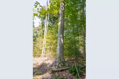 0 County Rd 269, Glouster, OH 45732 - Photo 99