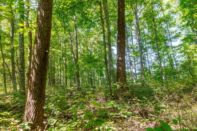 0 County Rd 269, Glouster, OH 45732 - Photo 35