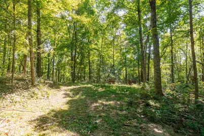 0 County Rd 269, Glouster, OH 45732 - Photo 87
