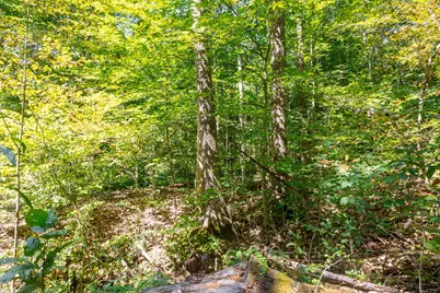 0 County Rd 269, Glouster, OH 45732 - Photo 57