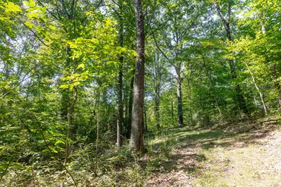 0 County Rd 269, Glouster, OH 45732 - Photo 51