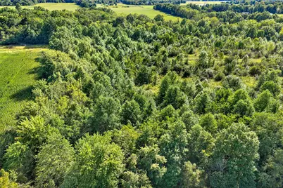 0 County Line Road, Johnstown, OH 43031 - Photo 9