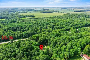 7056 US Hwy 36, Saint Paris, OH 43072 - Photo 51