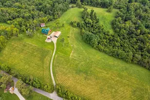 61859 Lashley Rd, Shadyside, OH 43947 - Photo 73