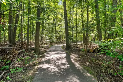 403 Ashmoore Circle E, Powell, OH 43065 - Photo 67
