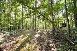 16961 Harble Griffith Rd, Logan, OH 43138 - Photo 19