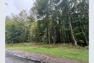 7326 State Route 19 #Unit 5, Lots 33-34, Mount Gilead, OH 43338 - Photo 3