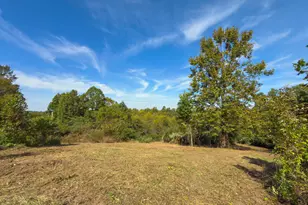 3930 McNally Rd, Stockport, OH 43787 - Photo 91